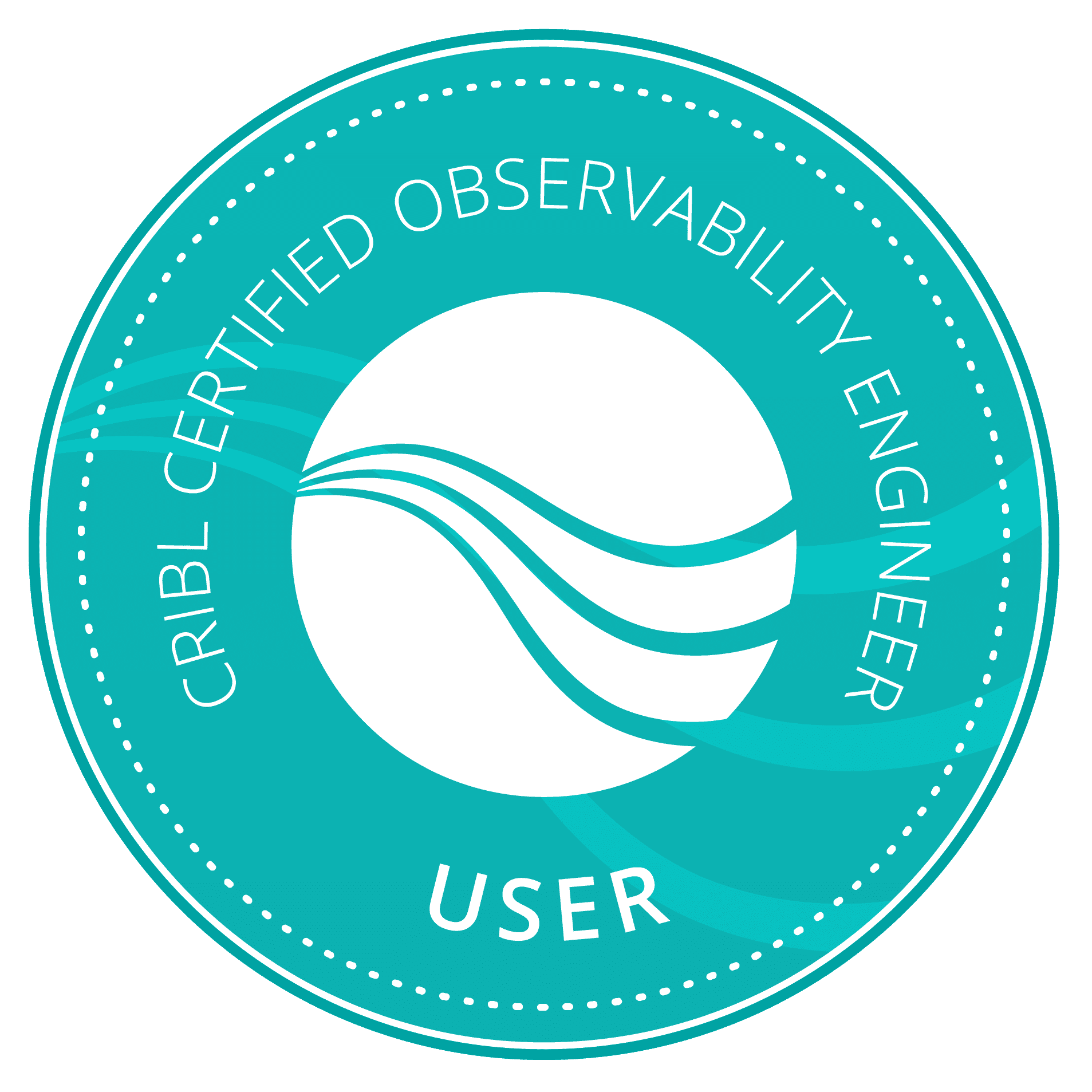 CCOE_USER